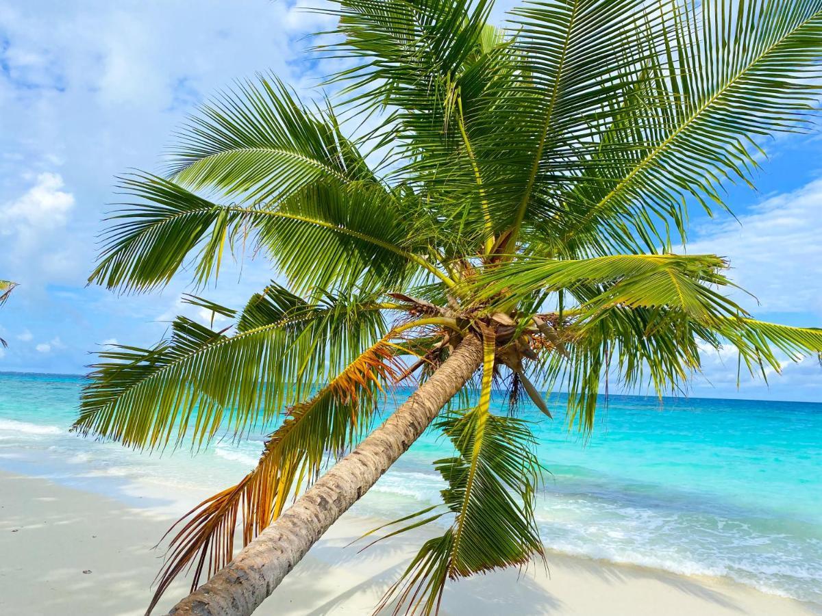 Tme Retreats Dhigurah Hotel Dhigurah  Luaran gambar