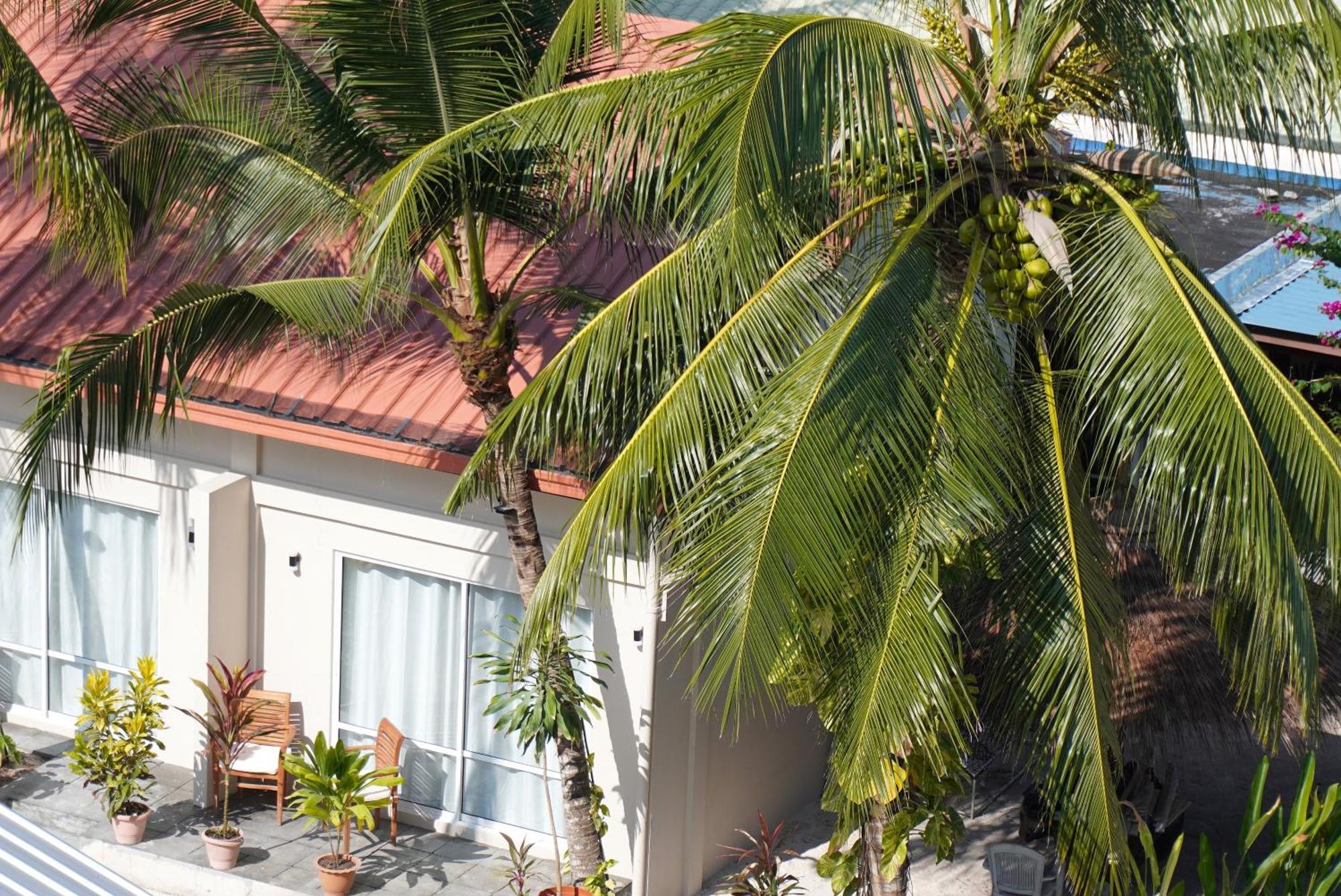 Tme Retreats Dhigurah Hotel Dhigurah  Luaran gambar